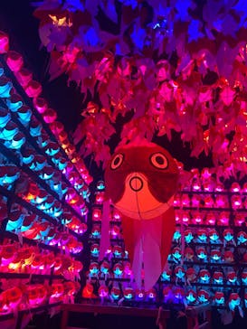 NARA KINGYO MUSEUMに投稿された画像（2023/2/17）