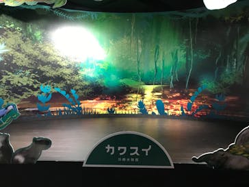 カワスイ 川崎⽔族館に投稿された画像（2023/2/17）