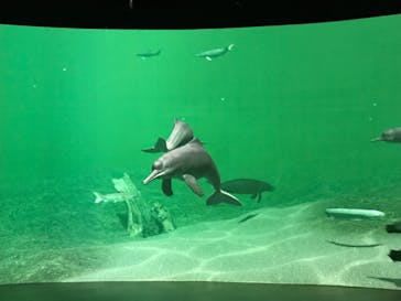 カワスイ 川崎⽔族館に投稿された画像（2023/2/17）