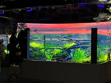 カワスイ 川崎⽔族館に投稿された画像（2023/2/17）