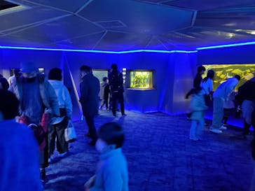 カワスイ 川崎⽔族館に投稿された画像（2023/2/17）