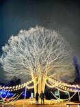 KYOTO ILLUMINATION SYNESTHESIA HILLS るり渓温泉に投稿された画像（2023/2/17）