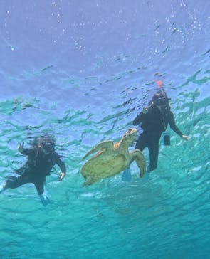 宮古島 ADVENTURE PiPi（ミヤコジマ アドベンチャー ピピ）に投稿された画像（2023/2/17）