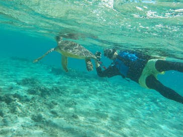 宮古島 ADVENTURE PiPi（ミヤコジマ アドベンチャー ピピ）に投稿された画像（2023/2/17）