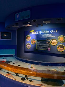 しながわ水族館に投稿された画像（2023/2/17）