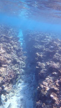 石垣島 ADVENTURE PiPi（イシガキジマアドベンチャーピピ）に投稿された画像（2023/2/17）