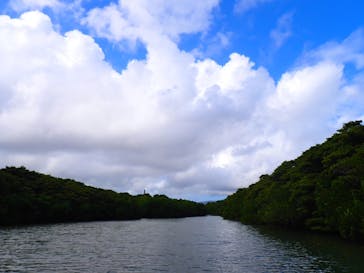 石垣島 ADVENTURE PiPi（イシガキジマアドベンチャーピピ）に投稿された画像（2023/2/17）