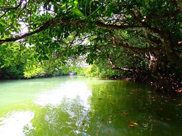 石垣島 ADVENTURE PiPi（イシガキジマアドベンチャーピピ）に投稿された画像（2023/2/17）