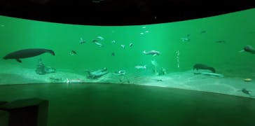 カワスイ 川崎⽔族館に投稿された画像（2023/2/17）