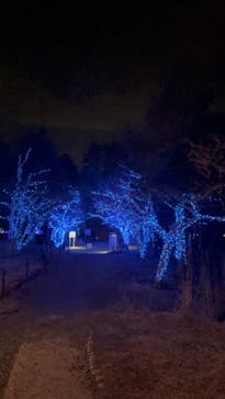 KYOTO ILLUMINATION SYNESTHESIA HILLS るり渓温泉に投稿された画像（2023/2/17）