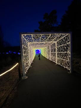 KYOTO ILLUMINATION SYNESTHESIA HILLS るり渓温泉に投稿された画像（2023/2/17）