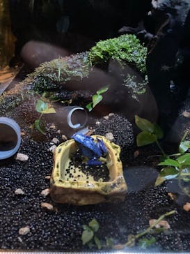 カワスイ 川崎⽔族館に投稿された画像（2023/2/17）