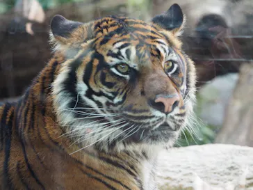 神戸どうぶつ王国に投稿された画像（2023/2/17）