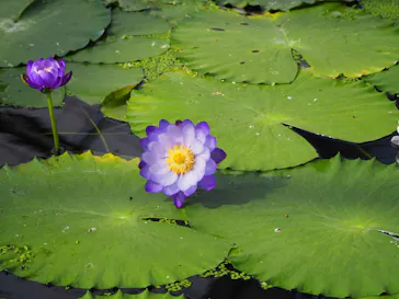 神戸どうぶつ王国に投稿された画像（2023/2/17）