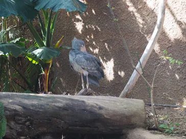 神戸どうぶつ王国に投稿された画像（2023/2/17）