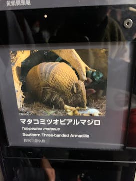 カワスイ 川崎⽔族館に投稿された画像（2023/2/17）