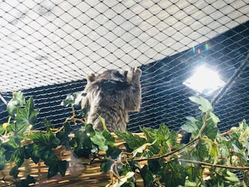 カワスイ 川崎⽔族館に投稿された画像（2023/2/17）