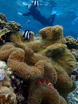 宮古島 ADVENTURE PiPi（ミヤコジマ アドベンチャー ピピ）に投稿された画像（2023/2/18）