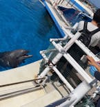 沖縄美ら海水族館に投稿された画像（2023/2/18）