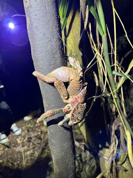 宮古島 ADVENTURE PiPi（ミヤコジマ アドベンチャー ピピ）に投稿された画像（2023/2/18）