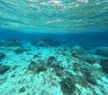 宮古島 ADVENTURE PiPi（ミヤコジマ アドベンチャー ピピ）に投稿された画像（2023/2/18）