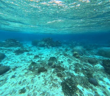 宮古島 ADVENTURE PiPi（ミヤコジマ アドベンチャー ピピ）に投稿された画像（2023/2/18）