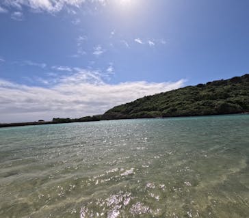 宮古島 ADVENTURE PiPi（ミヤコジマ アドベンチャー ピピ）に投稿された画像（2023/2/18）