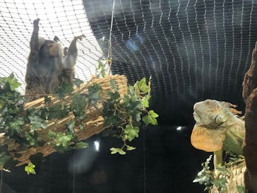 カワスイ 川崎⽔族館に投稿された画像（2023/2/18）