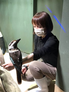 カワスイ 川崎⽔族館に投稿された画像（2023/2/18）