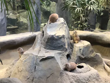 神戸どうぶつ王国に投稿された画像（2023/2/18）