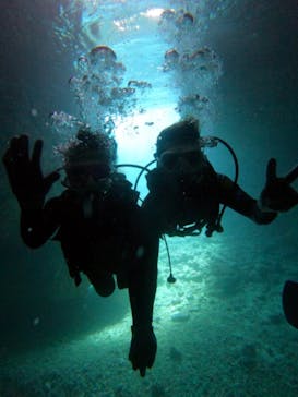 沖縄マリンサービス碧に投稿された画像（2023/2/18）