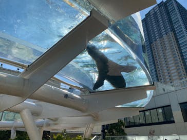 サンシャイン水族館に投稿された画像（2023/2/18）