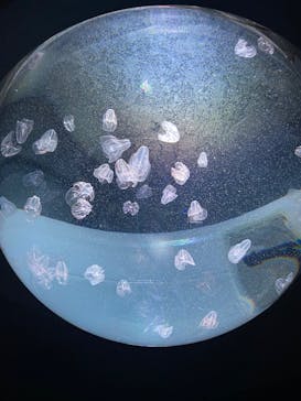 サンシャイン水族館に投稿された画像（2023/2/18）