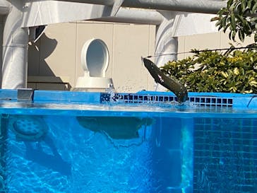 サンシャイン水族館に投稿された画像（2023/2/18）