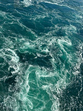 徳島県立 渦の道に投稿された画像（2023/2/18）