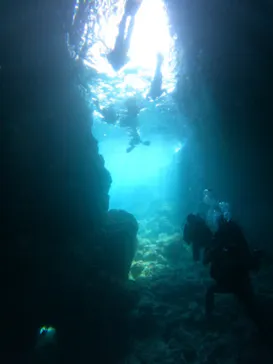 武藤潜水に投稿された画像（2023/2/18）