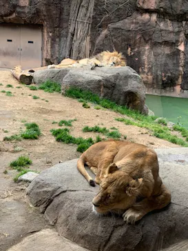 天王寺動物園に投稿された画像（2023/2/18）