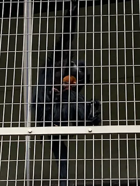 天王寺動物園に投稿された画像（2023/2/18）