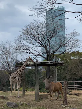 天王寺動物園に投稿された画像（2023/2/18）