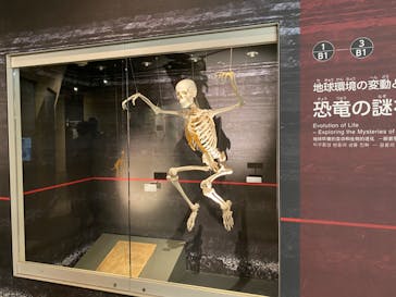 国立科学博物館に投稿された画像（2023/2/18）