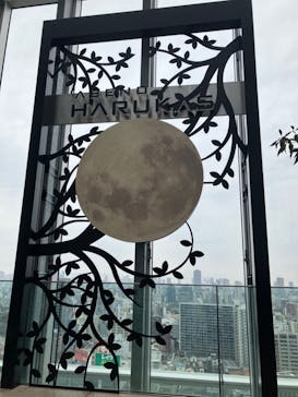 ハルカス300(展望台)に投稿された画像（2023/2/18）