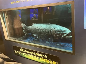 サンシャイン水族館に投稿された画像（2023/2/18）