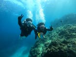 武藤潜水に投稿された画像（2023/2/18）