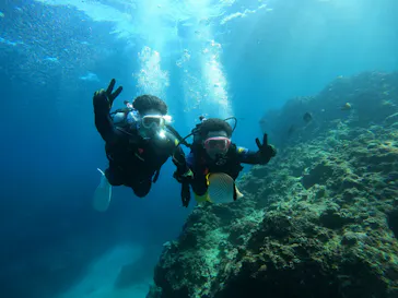 武藤潜水に投稿された画像（2023/2/18）