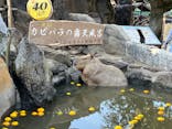 伊豆シャボテン動物公園に投稿された画像（2023/2/18）