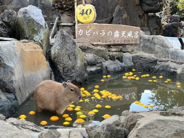 伊豆シャボテン動物公園に投稿された画像（2023/2/18）