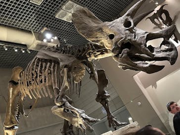 国立科学博物館に投稿された画像（2023/2/18）