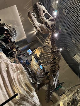 国立科学博物館に投稿された画像（2023/2/18）
