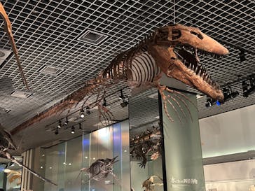国立科学博物館に投稿された画像（2023/2/18）