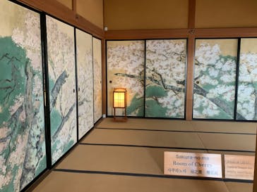 偕楽園本園に投稿された画像（2023/2/18）